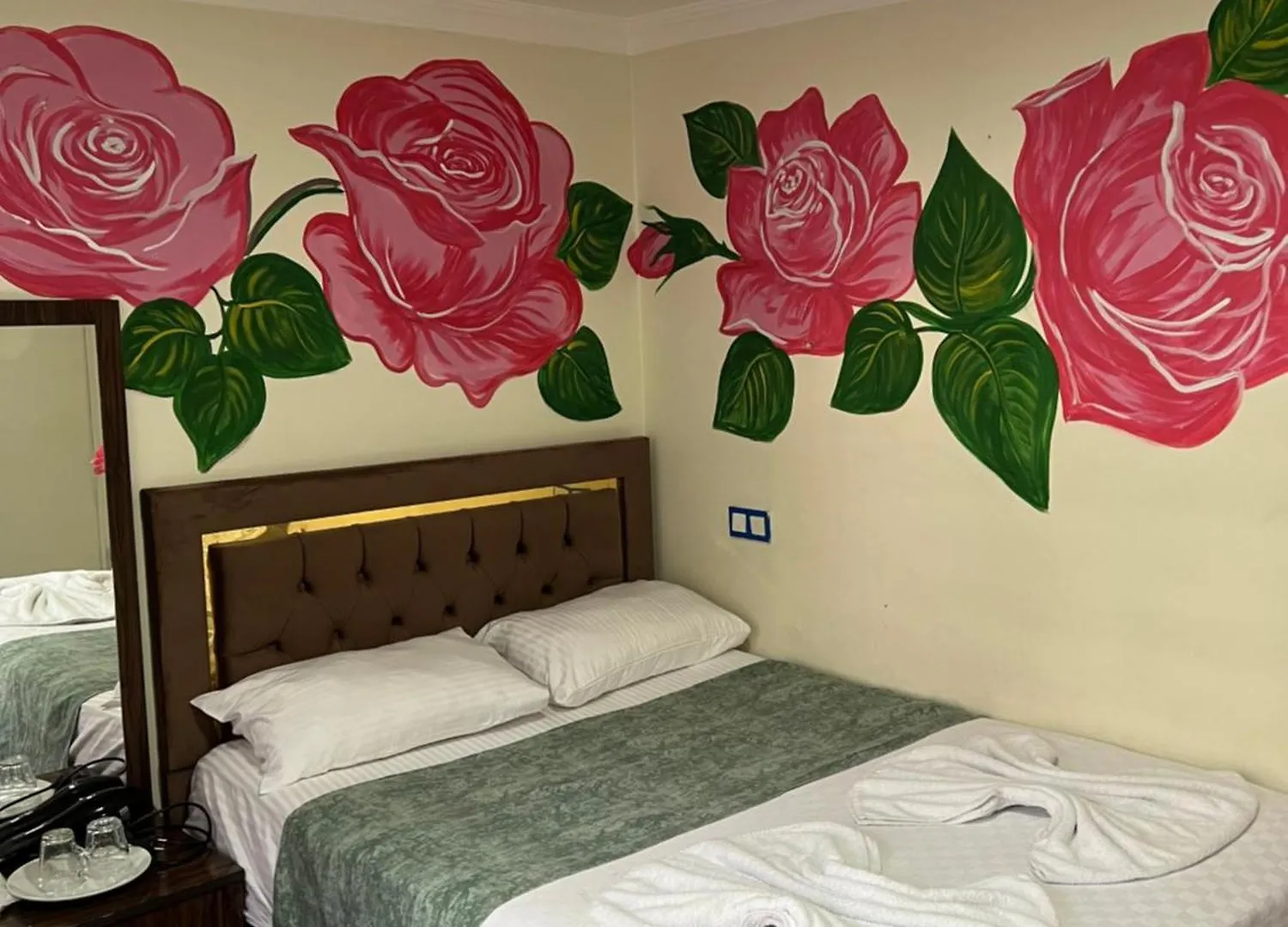 Sultanahmet Blue Apart Hotel 伊斯坦布尔