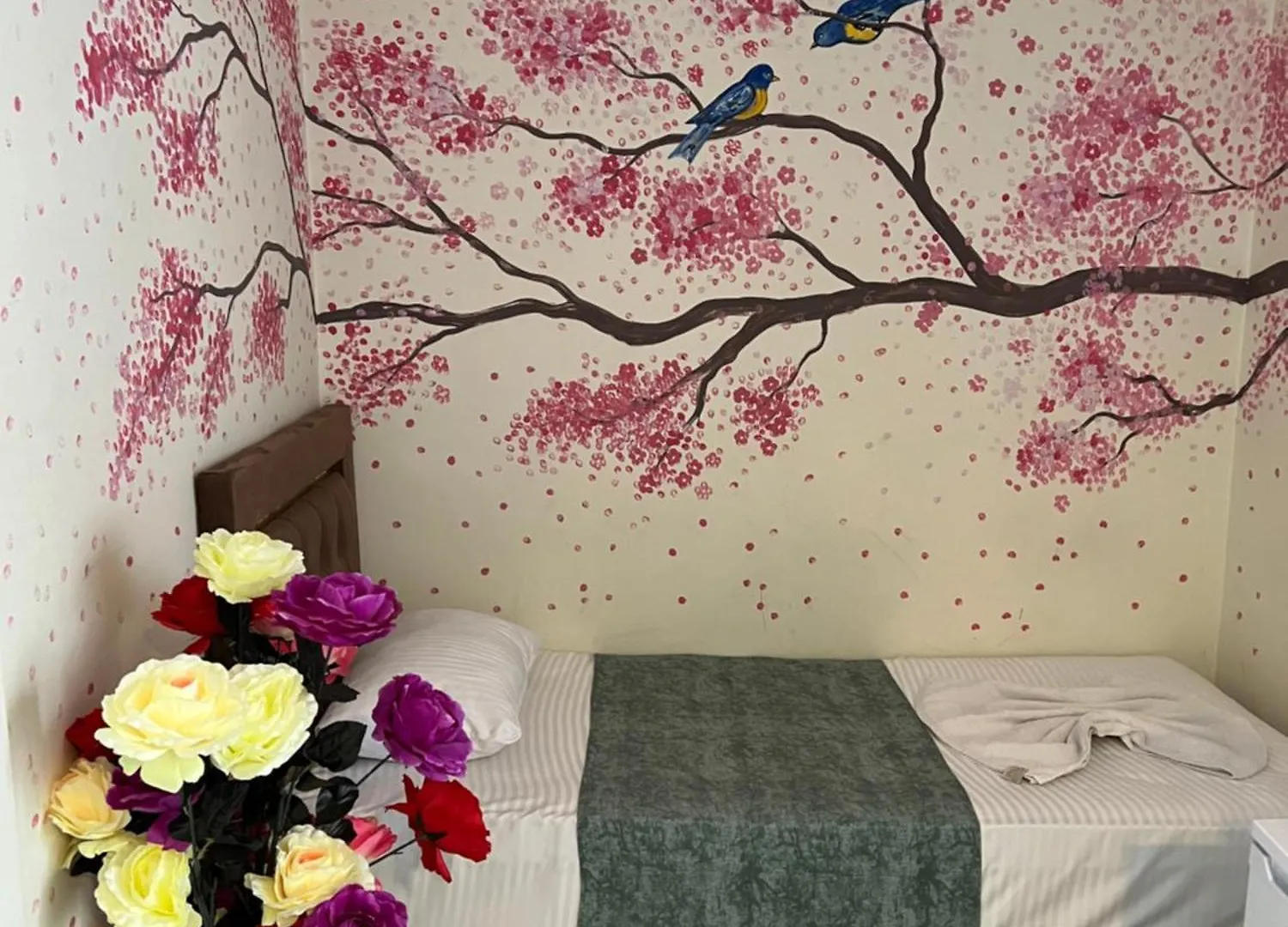 Sultanahmet Blue Apart Hotel 伊斯坦布尔 0*,  土耳其