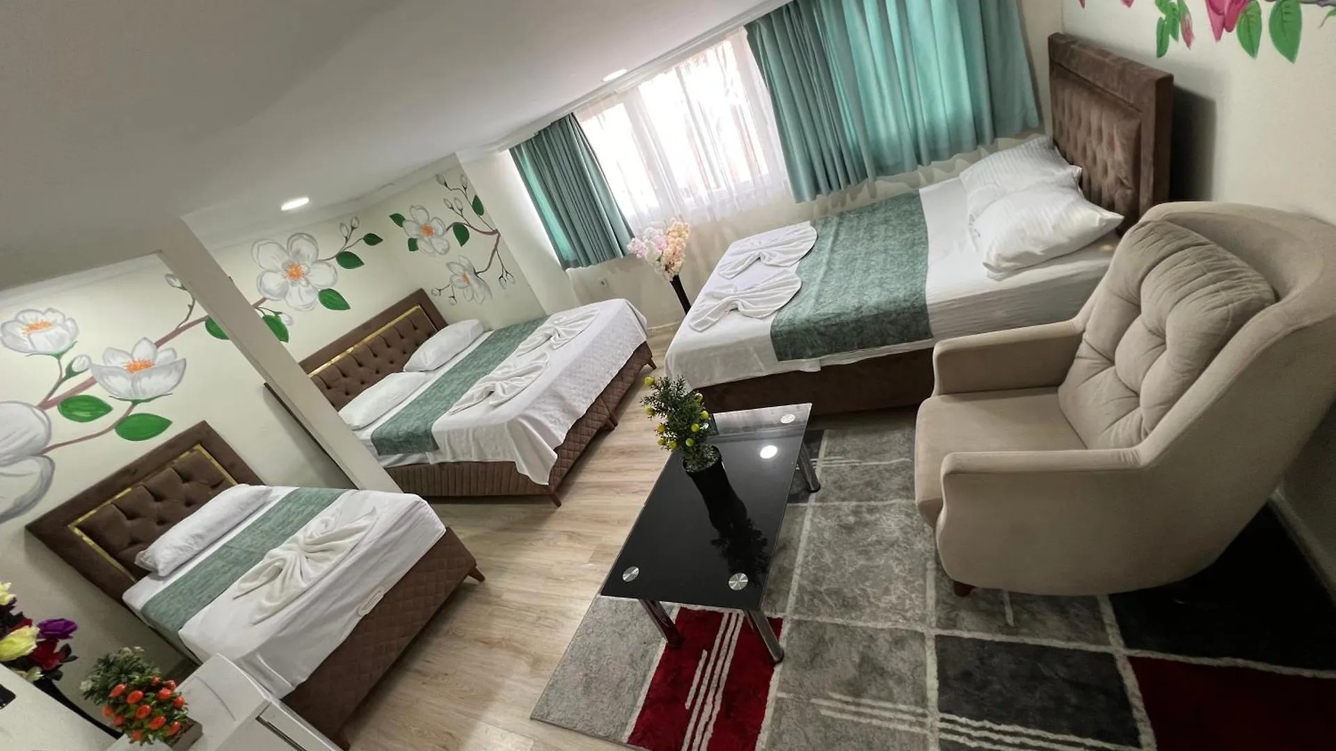 Sultanahmet Blue Apart Hotel 伊斯坦布尔 土耳其